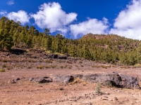 Gran Canaria